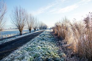 Winters polderlandschap