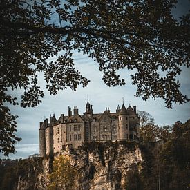 Castle of Walzin I by de Utregter Fotografie