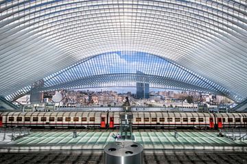 Liège-Guillemins by Rob van der Wal