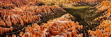 Panorama landscape amphitheater with hoodoos in Bryce Canyon National Park Utah USA by Dieter Walther