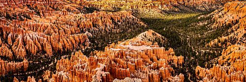 Panorama Landschap Amfitheater met Hoodoos in Bryce Canyon National Park Utah USA