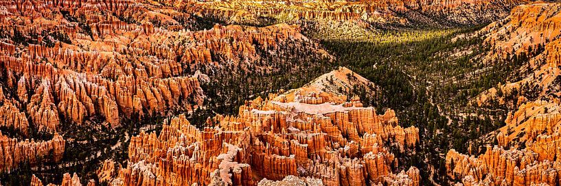 Panorama Landschap Amfitheater met Hoodoos in Bryce Canyon National Park Utah USA van Dieter Walther