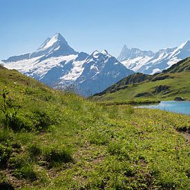 Uitzicht op de Berner Alpen vanaf de Bachalpsee, Zwitserland van SusaZoom