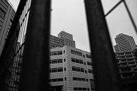 Den Haag | Durch diese Gitterstäbe