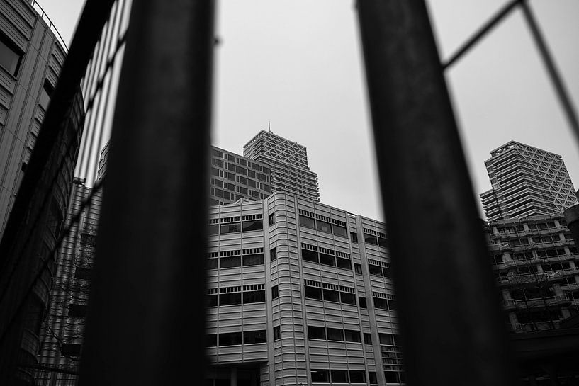 Den Haag | Through those bars van Sylvana Portier
