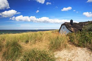Am Strand von Ahrenshoop