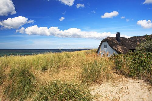 At the beach of Ahrenshoop