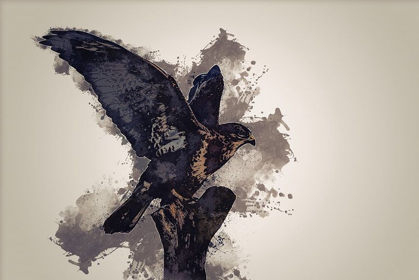Buzzard - Bird of prey - in digital art version by Gianni Argese