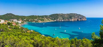 Es Camp de Mar on Mallorca island, Spain Mediterranean Sea by Alex Winter