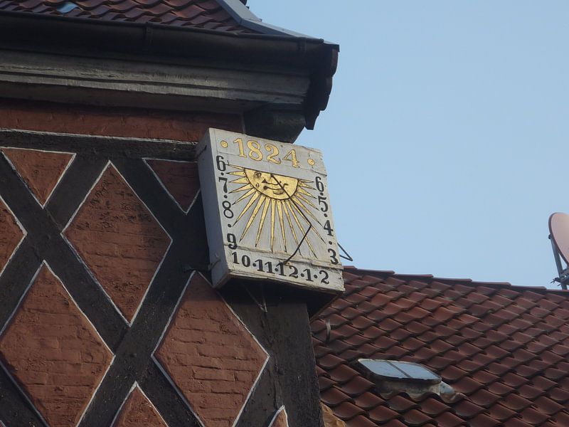 Zonnnewijzer von Ad Steenbergen