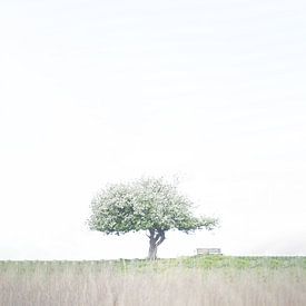 Lonely tree in vast landscape by Ellen Snoek