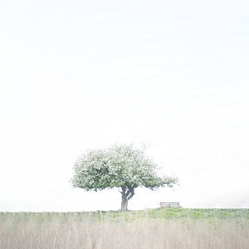 Eenzame boom in weids landschap van Ellen Snoek