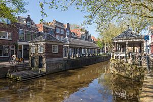 Gouda, bancs de poissons
