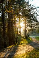 Dünenwanderung mit untergehender Sonne