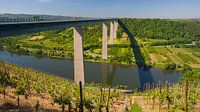 Die Moseltalbrücke in Rheinland Pfalz von Henk Meijer Photography Miniaturansicht