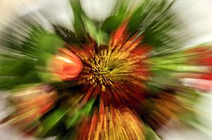 Zoomblur bloemen van Yvonne Balvers