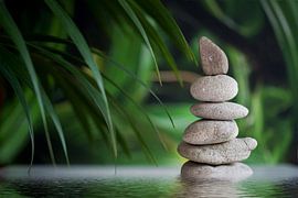 WISHES van Thomas Herzog