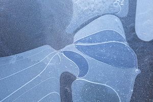 Air bubbles under the ice