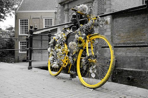 Yellow bicycle in Gouda