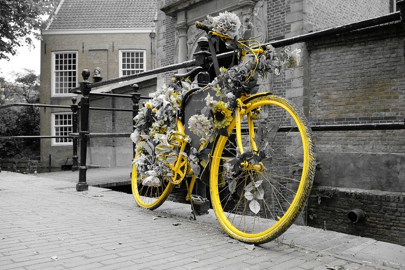 Yellow bicycle in Gouda by Framed by Elisabeth