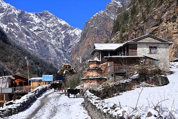 Village de montagne de l'Himalaya sur aidan moran