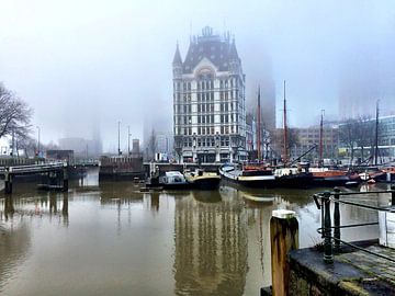 Witte Huis in de mist  van Liesbeth Vollemans