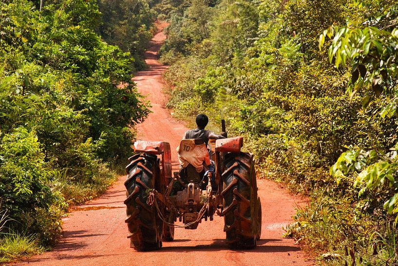 Magnifiquement détendu au Suriname par Natuurpracht   Kees Doornenbal