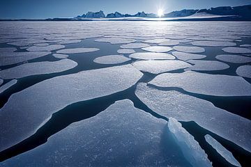Het ijs op Antarctica smelt Illustratie van Animaflora PicsStock