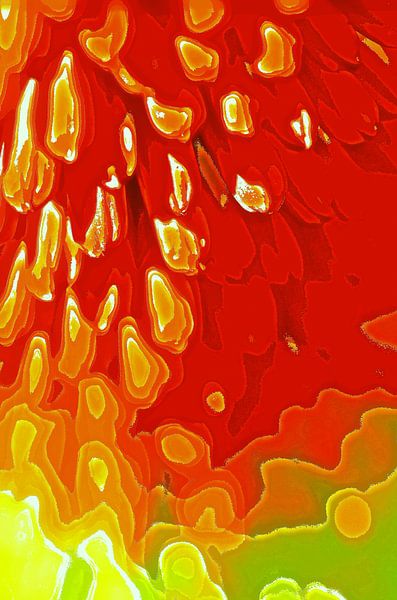 Fleur en rouge, jaune et vert. par De Rover