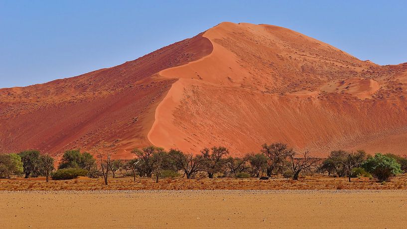 Sanddüne in Orange von Timon Schneider