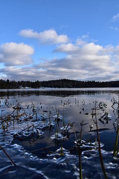 Première gelé sur le lac à l'automne sur Claude Laprise