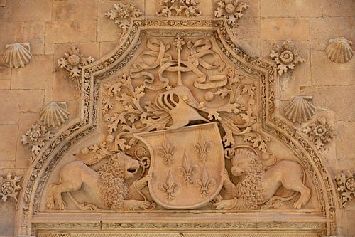 Wapen op Casa de las Conchas in Salamanga met twee leeuwen