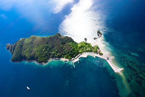 Green forested island in summer from above. landscape below (aerial photo from a paraglider) with th