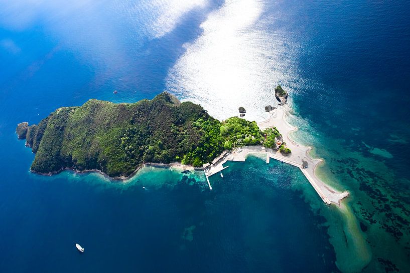 Green forested island in summer from above. landscape below (aerial photo from a paraglider) with th by Michael Semenov