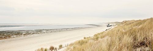 Beach Ameland