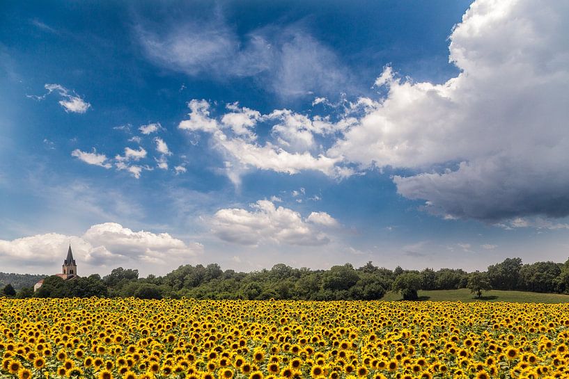 Een veld vol zonnebloemen voor een kerkje in Frankrijk van 2BHAPPY4EVER.com photography & digital art