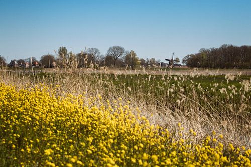 De typische Hollandse lente