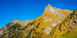 Himmelhorn