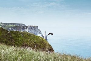 Alabasterküste Normandie Frankreich