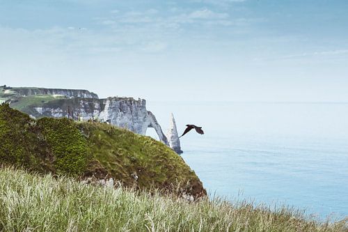 Alabaster Coast Normandy France