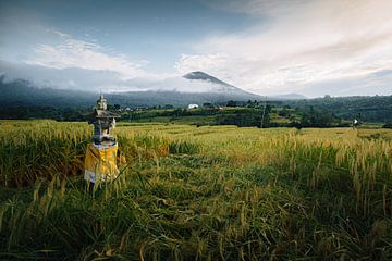 Jatiluwih rijstvelden met uitzicht op de berg in Bali van Thea.Photo