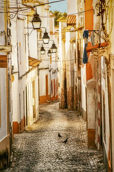 Die Gassen von Evora, Portugal von Lars van de Goor