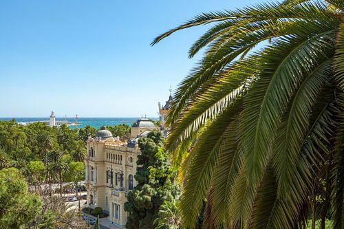 Malaga town hall, the park and the harbor.