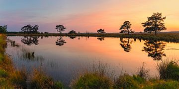 Panorama Sonnenuntergang Dwingelderveld von Henk Meijer Photography
