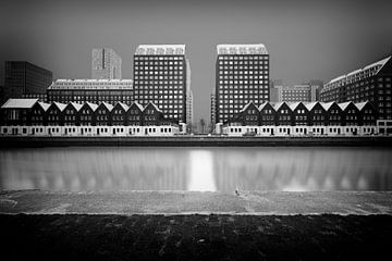 Rotterdam, Twin Towers van 010 Raw
