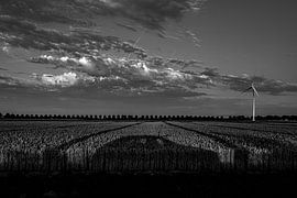 le voyage en voiture vers tous les pays sur Reggie Goole