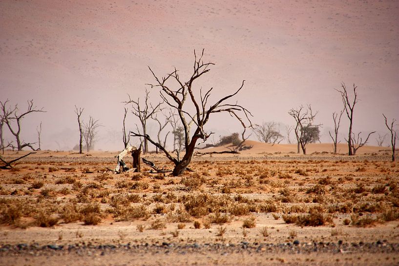 NAMIBIA ... pastel tones IV by Meleah Fotografie