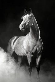 Pferd von Poster Art Shop