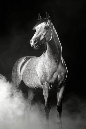 Paard