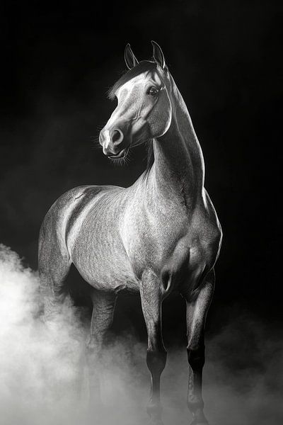 Horse by Poster Art Shop